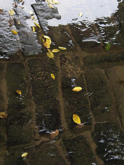 Flowing Water in a Town 